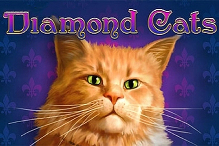 Diamond Cats