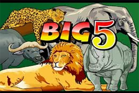 Big 5