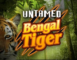 Untamed Bengal Tiger