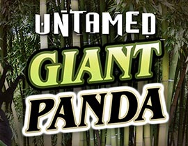 Untamed Giant Panda