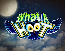 What A Hoot