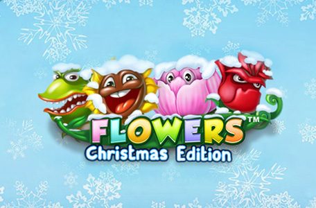 Flowers Christmas Edition