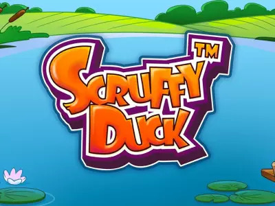 Scruffy Duck