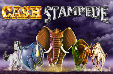 Cash Stampede