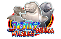 Jolly Beluga Whales