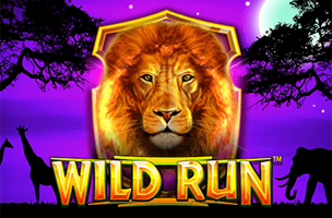 Wild Run
