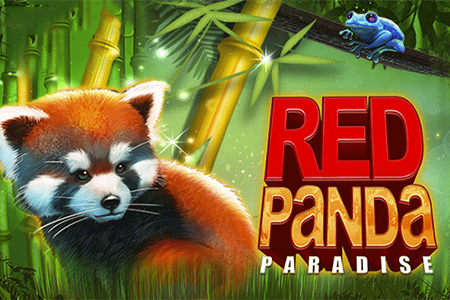 Red panda paradise
