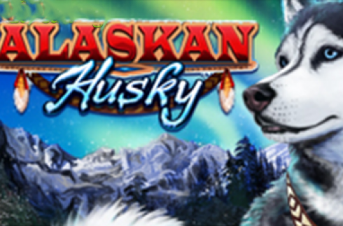 Alaskan Husky
