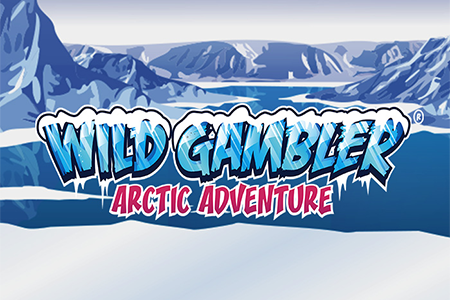Wild Gambler - Arctic Adventures