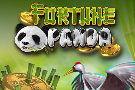 Fortune Panda