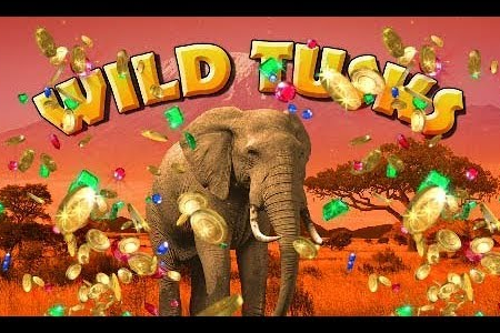 Wild Tusks