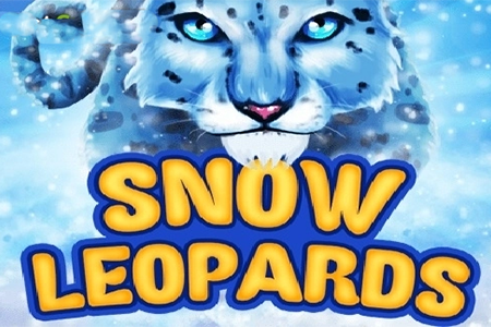 Snow Leopards