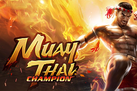 Muay Thai Champion
