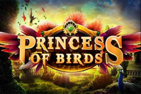 Princess of Birds