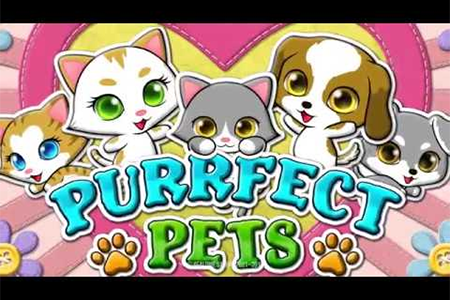 Purrfect Pets