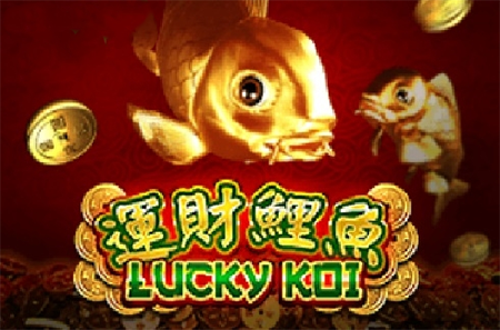 Lucky Koi