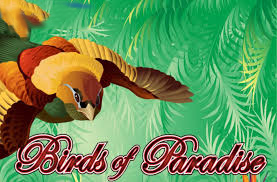 Birds Of Paradise