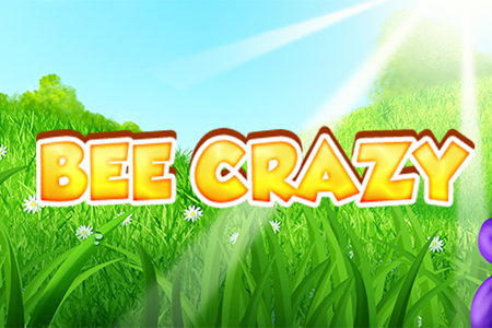 Bee Crazy HD