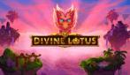Divine Lotus bij Stakers