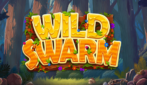 Wild Swarm bij Stakers